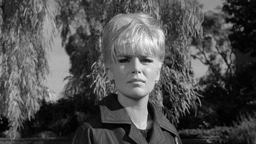 The Case of the Fugitive Fraulein The Case of the Fugitive Fraulein
