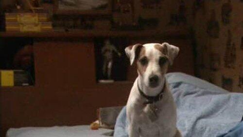 Oliver's Best Friend Oliver's Best Friend