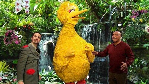 Big Bird's Big Move Big Bird's Big Move