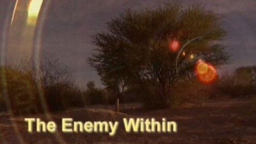 The Enemy Within The Enemy Within