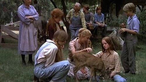 The Fawn The Fawn