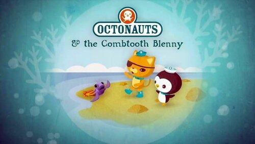 The Combtooth Blenny The Combtooth Blenny