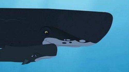 Whale of a Squid Whale of a Squid