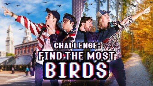Challenge: Find the Most Birds Challenge: Find the Most Birds
