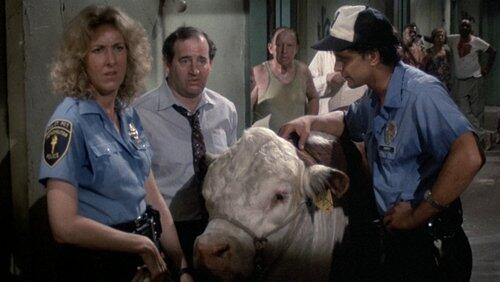 Domestic Beef Domestic Beef