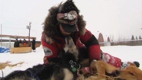 Chase on the Yukon