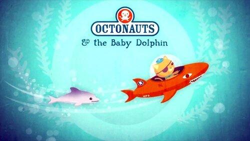 The Baby Dolphin The Baby Dolphin