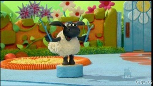 Timmy Rings the Bell Timmy Rings the Bell