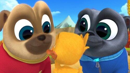 Duck, Duck, Dog Duck, Duck, Dog