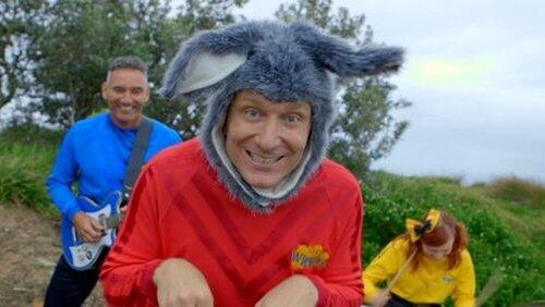 Lachy's Bunny Caller Lachy's Bunny Caller
