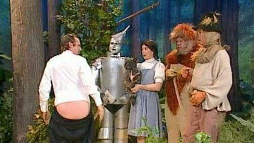 The Dana Carvey Show