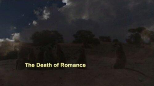 The Death of Romance The Death of Romance