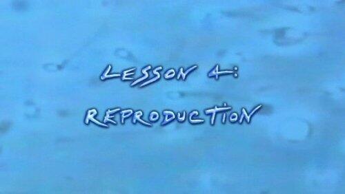 Reproduction