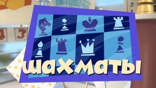 Шахматы Шахматы
