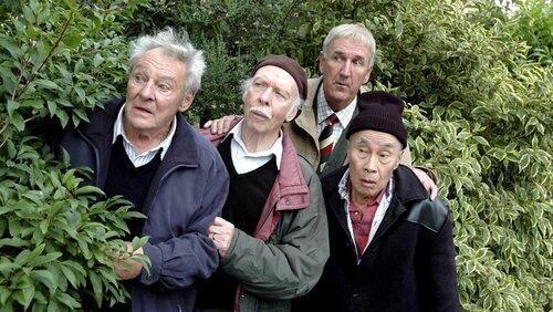 Behind Every Bush There is Not Necessarily a Howard Behind Every Bush There is Not Necessarily a Howard