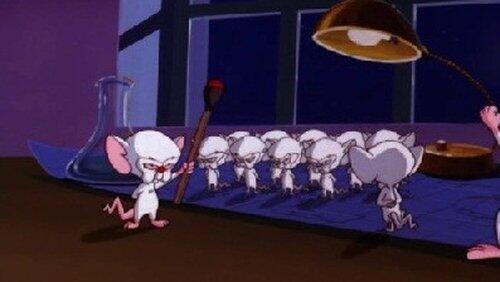 Pinky And The Brainmaker Pinky And The Brainmaker
