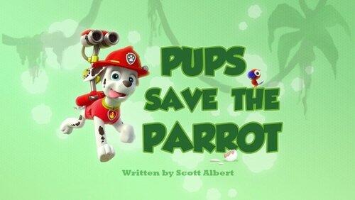 Pups Save the Parrot Pups Save the Parrot
