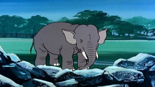 One of Our Elephants is Missing