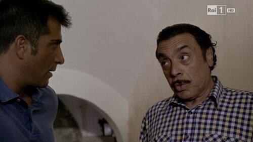 Il suocero ha sempre ragione Il suocero ha sempre ragione