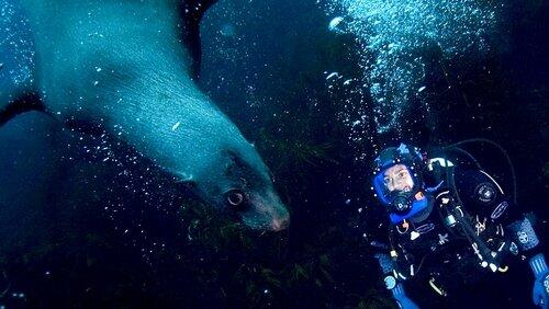 Southern Ocean Southern Ocean