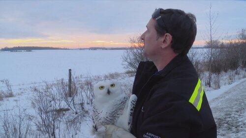 Owl Be Seeing You Owl Be Seeing You