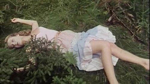 Die Tote im Wald Die Tote im Wald
