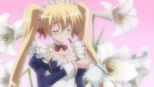 Maid in Neko Maid in Neko