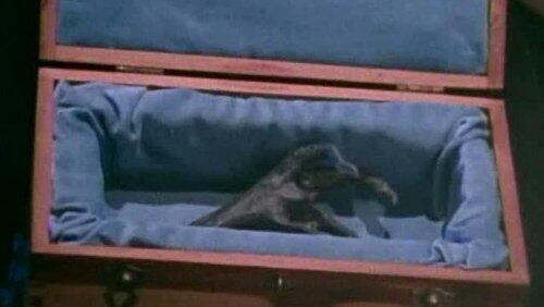 The Tale of the Twisted Claw The Tale of the Twisted Claw