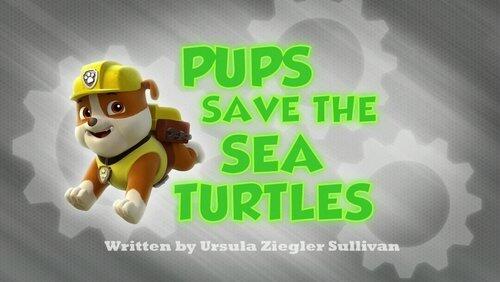Pups Save the Sea Turtles Pups Save the Sea Turtles