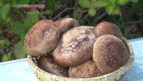 Shitake Shitake