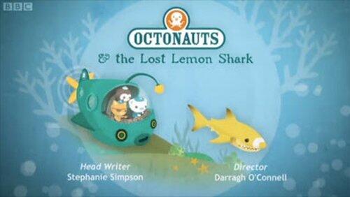 The Lost Lemon Shark The Lost Lemon Shark