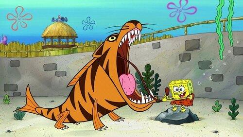 Who R Zoo? Who R Zoo?