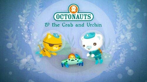 The Crab and Urchin The Crab and Urchin