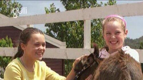 The Dutchess and the Donkey The Dutchess and the Donkey