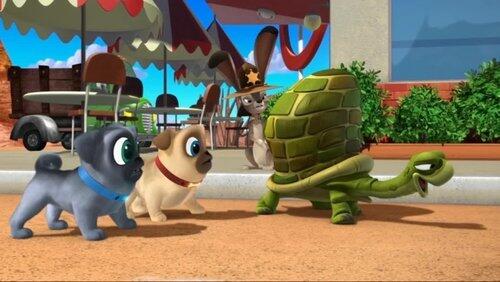 Desert Pups Desert Pups