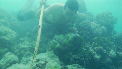Ring of Fire: Castaway (2) Ring of Fire: Castaway (2)
