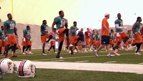 Training Camp with the Miami Dolphins #5 Training Camp with the Miami Dolphins #5