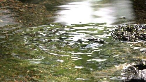 Water Water