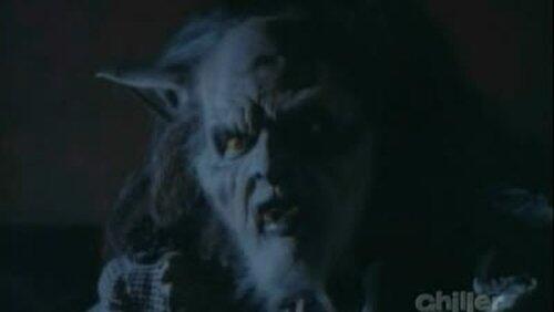 Werewolf of Hollywood Werewolf of Hollywood