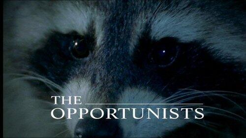 Opportunists Opportunists