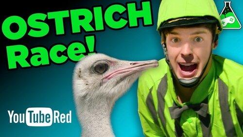 OSTRICH JOCKEYS?! (Final Fantasy XV) OSTRICH JOCKEYS?! (Final Fantasy XV)