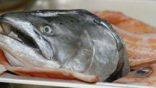 Surf N Turf Surf N Turf
