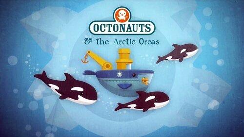 The Arctic Orcas The Arctic Orcas