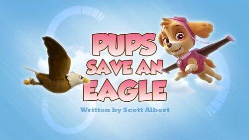 Pups Save an Eagle Pups Save an Eagle