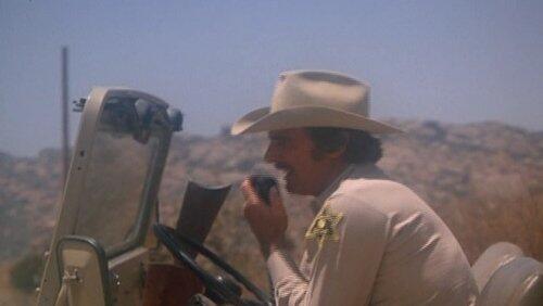 Three Guns for New York