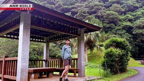 Amami Oshima: Beauty in the Rain Amami Oshima: Beauty in the Rain