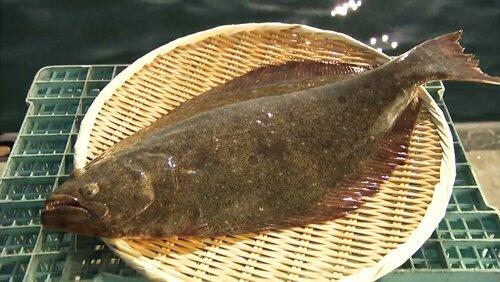 Hirame Hirame