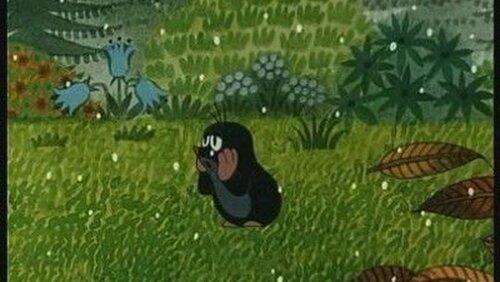 The Mole and the Charcoal The Mole and the Charcoal