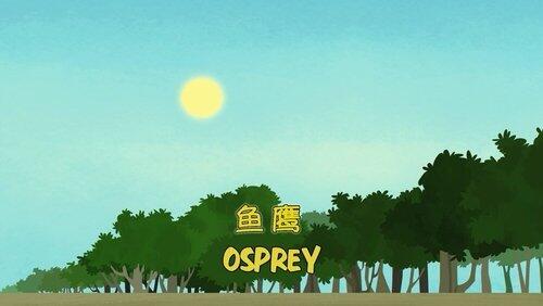 Osprey Osprey
