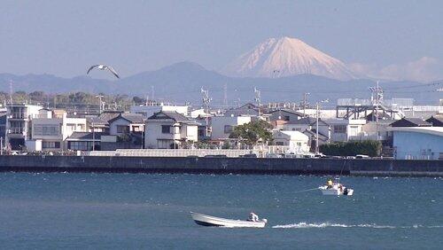 Hamamatsu: Sunny City with Positive Spirit Hamamatsu: Sunny City with Positive Spirit